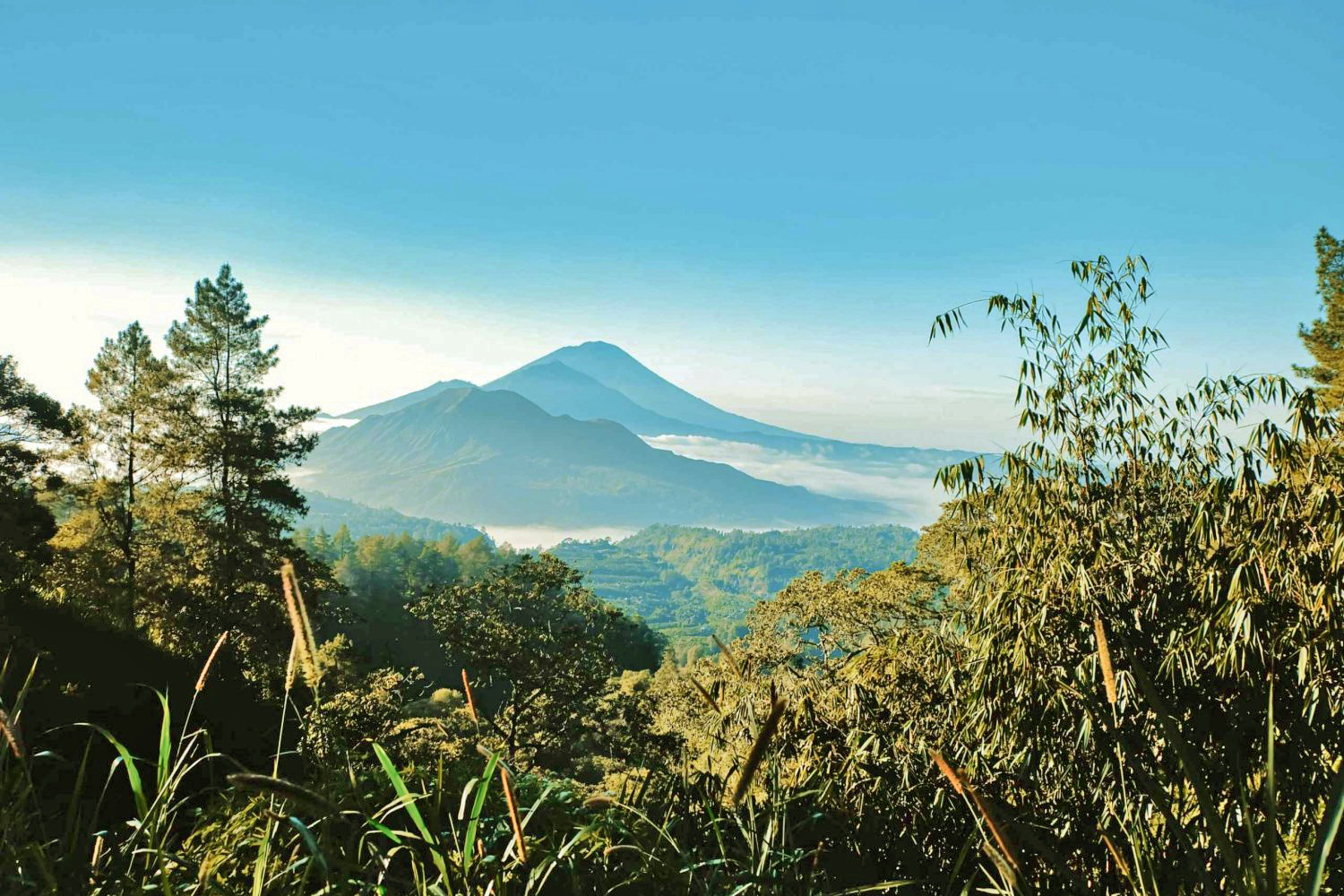 2-day tour to Kintamani area and Batur trekking