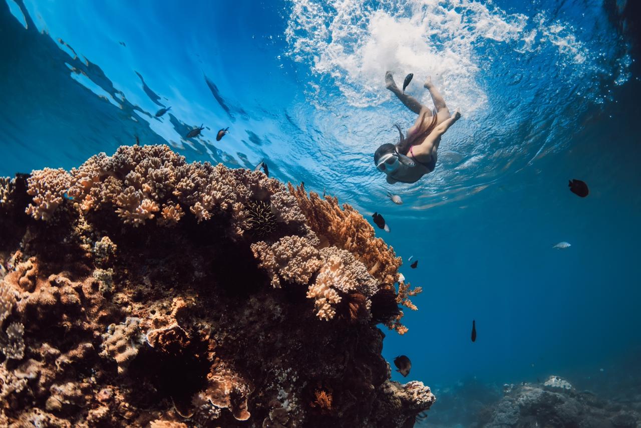 Nusa Penida Snorkeling Safari