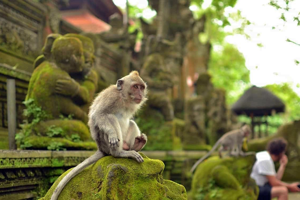 Tour package "Discover Bali and Nusa Penida"