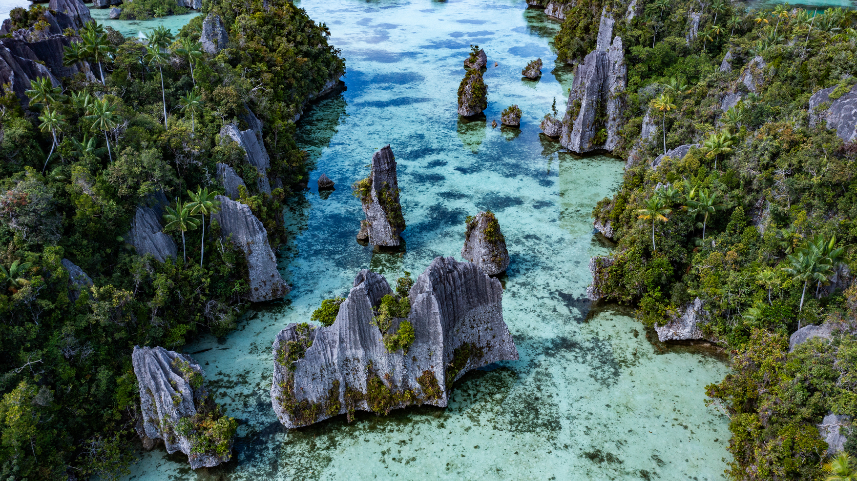 7-Day Raja Ampat Island Tour