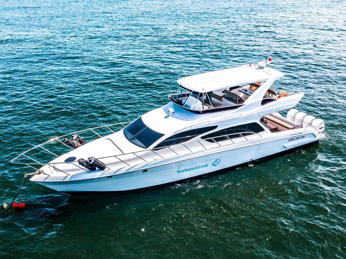 "Seahorse Oscar" yacht cruise