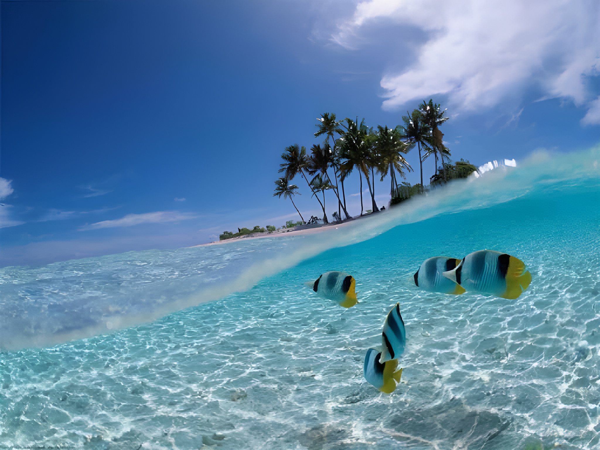 Gili Air tour