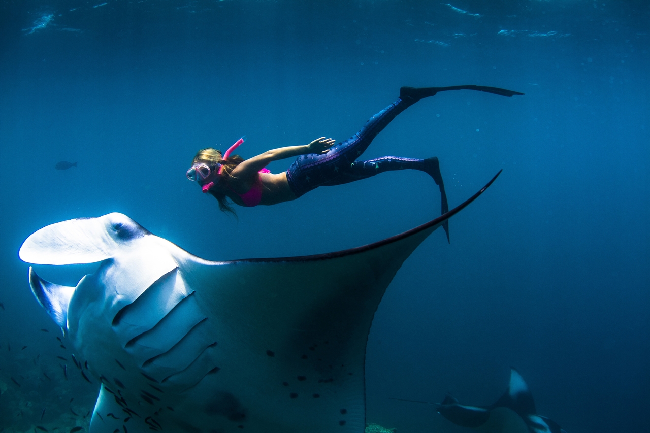 Snorkeling for Guests from Nusa Penida