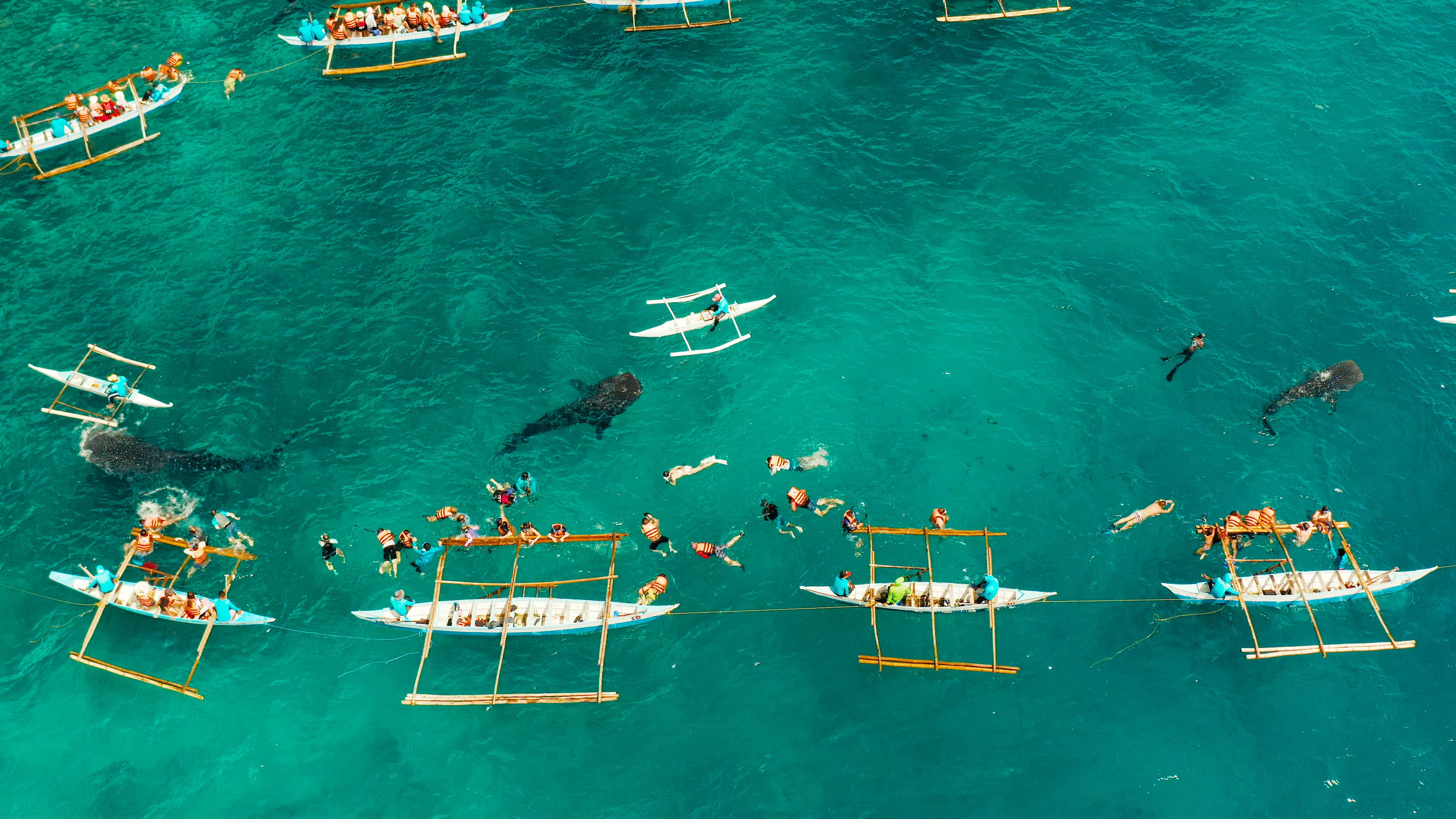 The tour of the islands of Sumbawa and Moyo
