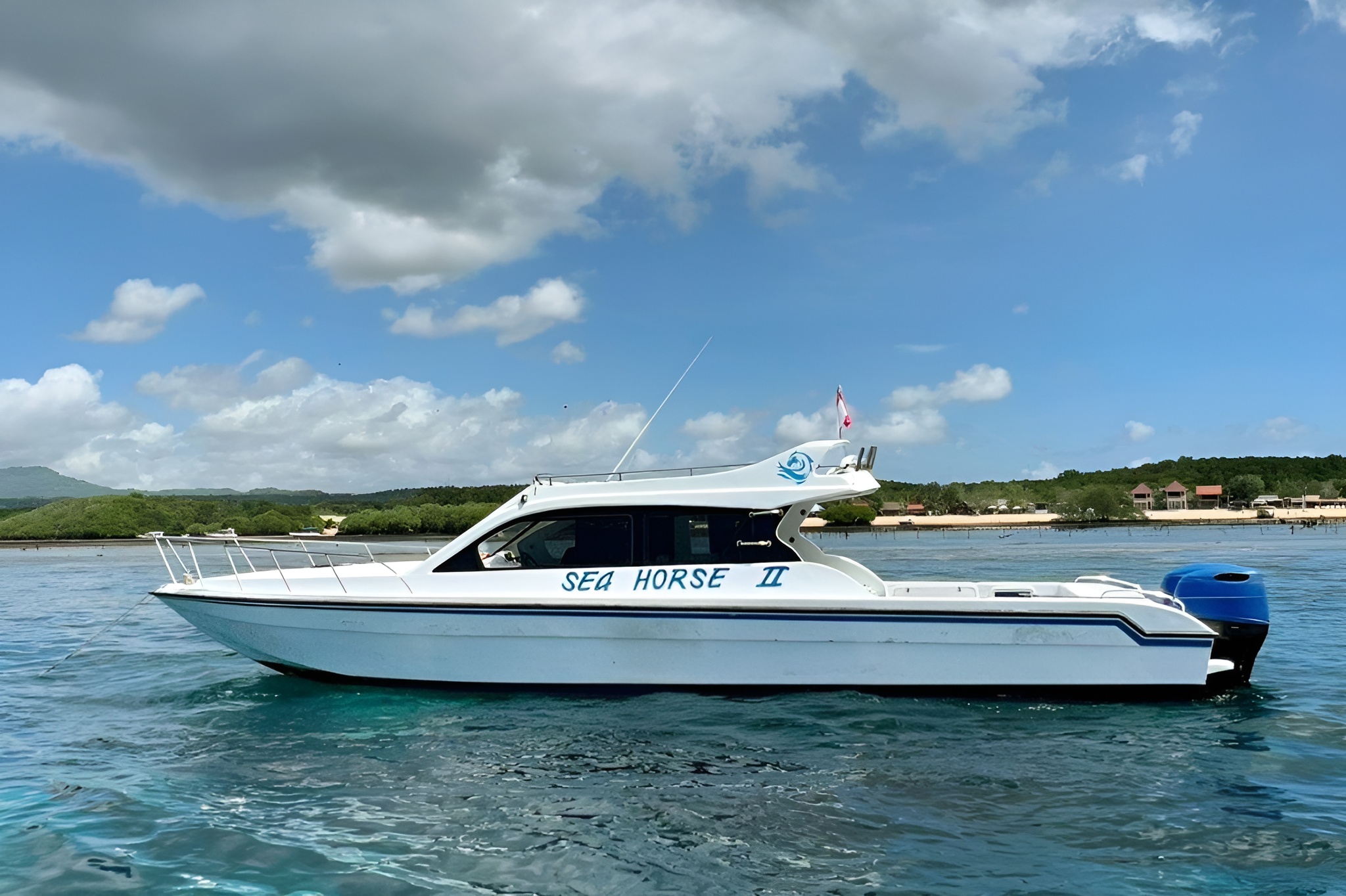 "Seahorse II" yacht cruise